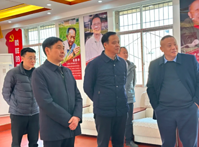 宜昌市委统战部领导一行莅临我司考察指导工作